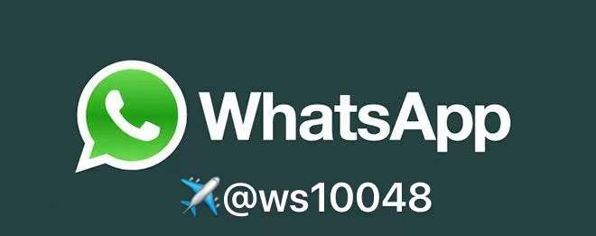 激活社群互动，WhatsApp群发消息五大核心法则