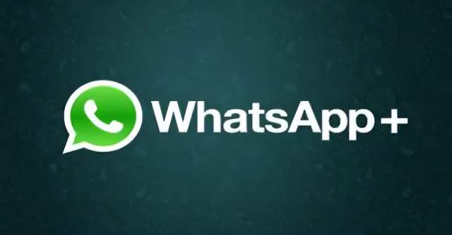 激活社群互动，WhatsApp群发消息五大核心法则与实战指南